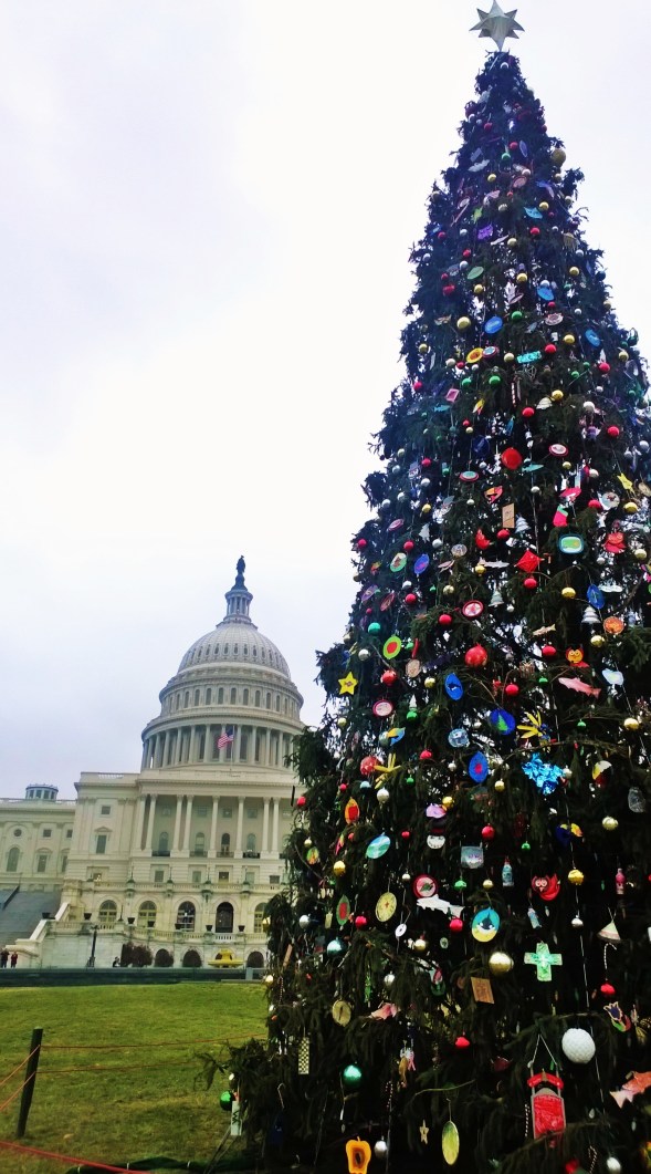 Capitol DC Christmas Tree