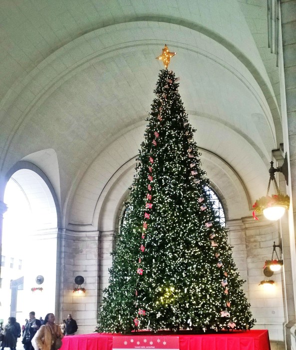 My favorite DC Christmas Tree is the Norway Friendship Tree