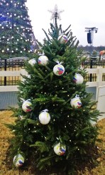 The New York State Christmas Tree