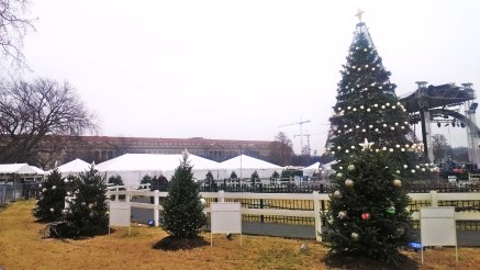 The National Christmas Tree with surrounding state trees